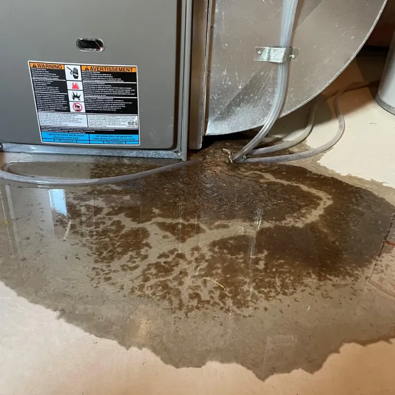 Appliance Leak Cleanup in Laramie, WY